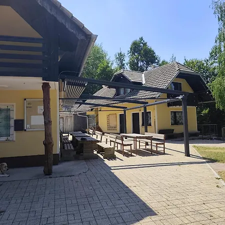 Zavetisce V Gozdu * Križe