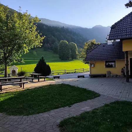 Zavetisce V Gozdu Bed & Breakfast